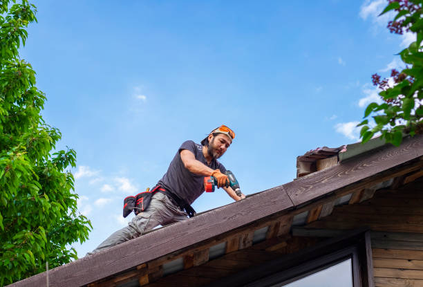 Best Steel Roofing  in North Oaks, MN