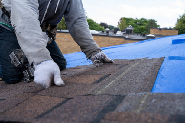 Best Roof Insulation Installation  in North Oaks, MN